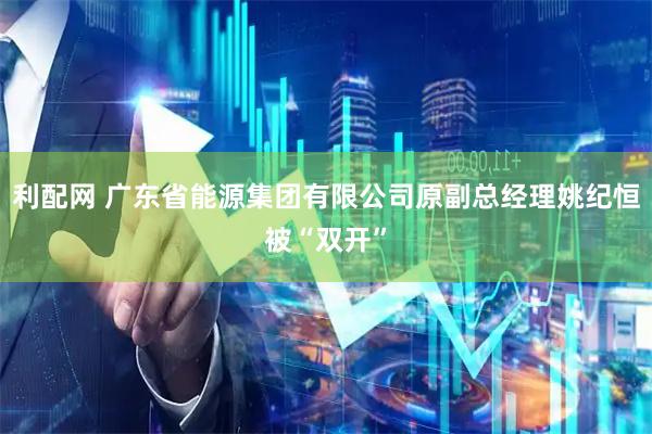 利配网 广东省能源集团有限公司原副总经理姚纪恒被“双开”