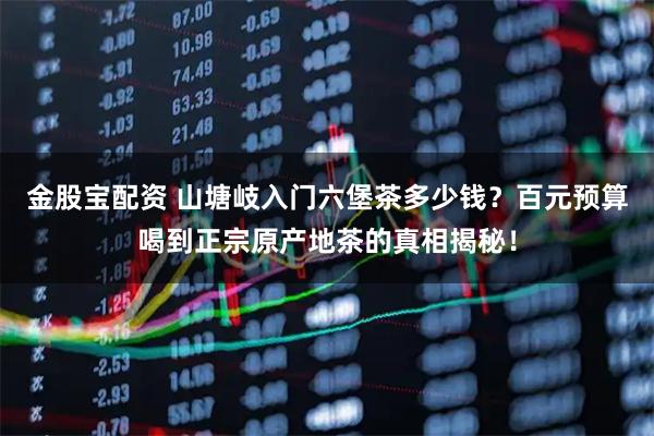 金股宝配资 山塘岐入门六堡茶多少钱？百元预算喝到正宗原产地茶的真相揭秘！