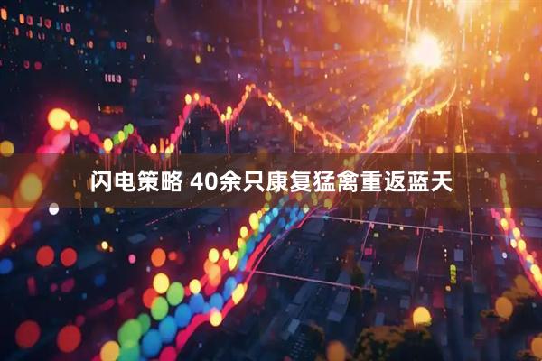 闪电策略 40余只康复猛禽重返蓝天