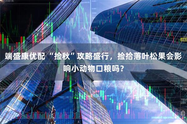 端盛康优配 “捡秋”攻略盛行，捡拾落叶松果会影响小动物口粮吗？