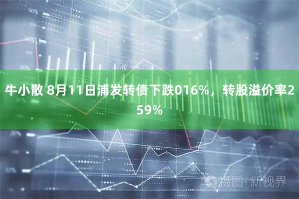 牛小散 8月11日浦发转债下跌016%,转股溢价率259%