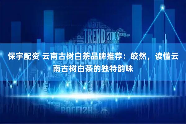保宇配资 云南古树白茶品牌推荐:皎然,读懂云南古树白茶的独特韵味
